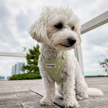 Corduroy Hondentuigje | Sweetheart Harness