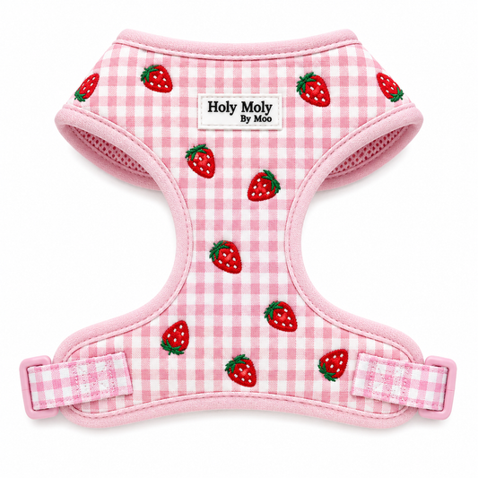 Sweet Strawberry Harness | Holy Moly