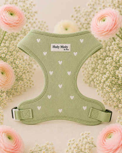 Groene Sweetheart Hondenharnas