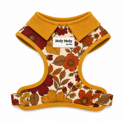 Herfstliefde Harnas  | Holy Moly