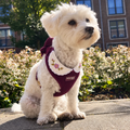True Burgundy tuigje
