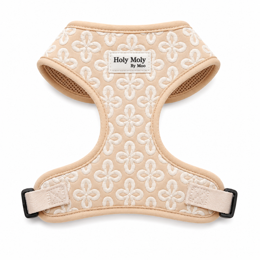 Ivory Bloom Harness | Holy Moly