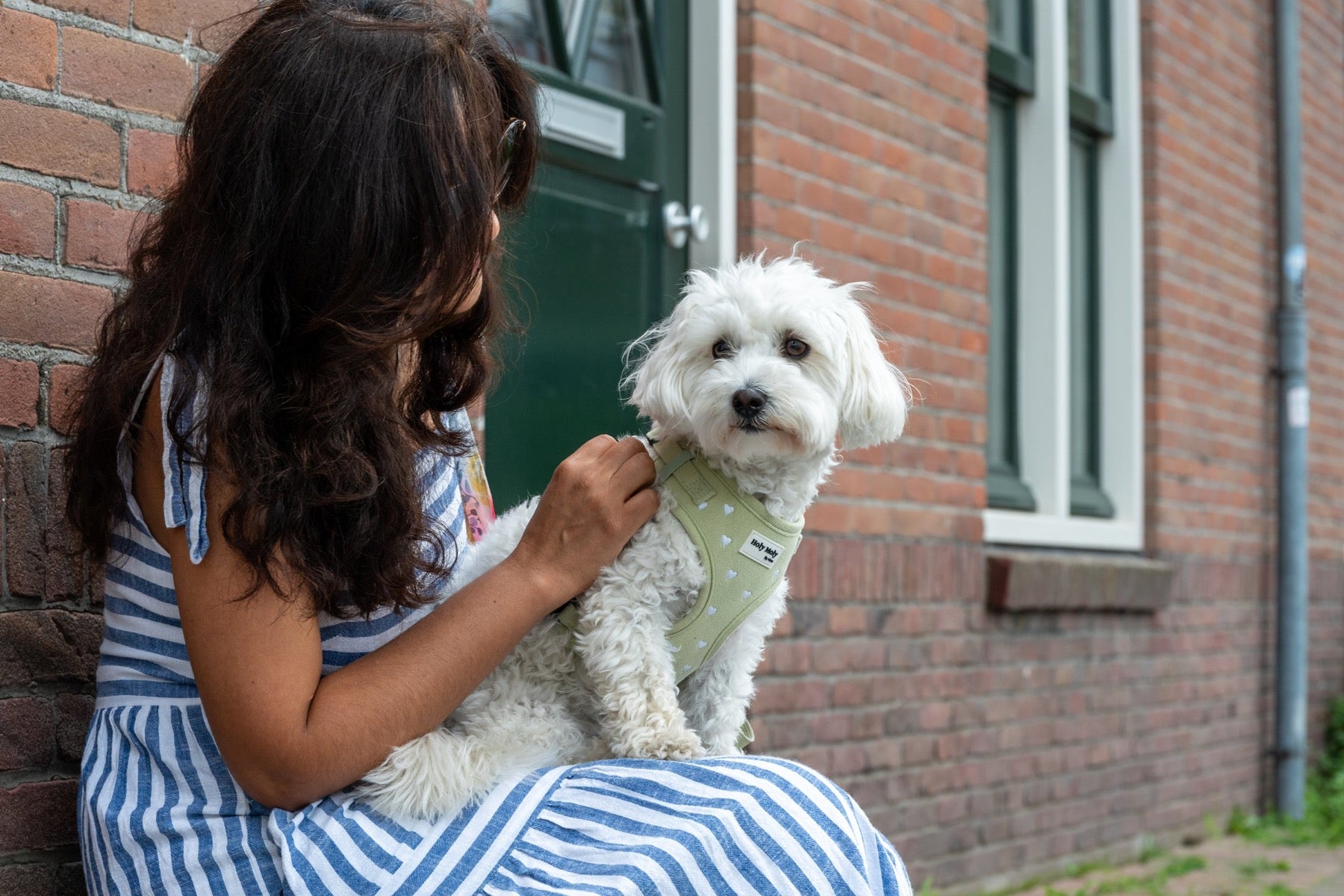 Carla doet Moo het saliegroene tuigje om voor een Nederlandse voordeur