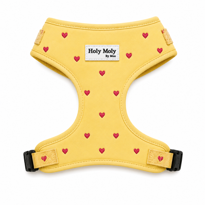 Gele Hartjes Harnas| Holy Moly